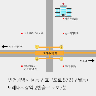 세종한방병원 일러스트 지도